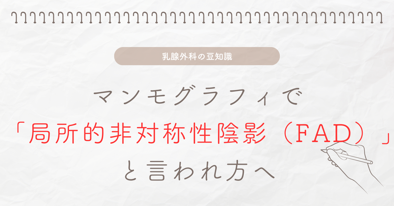 マンモグラフィで局所的非対称性陰影（FAD）と言われた方へ